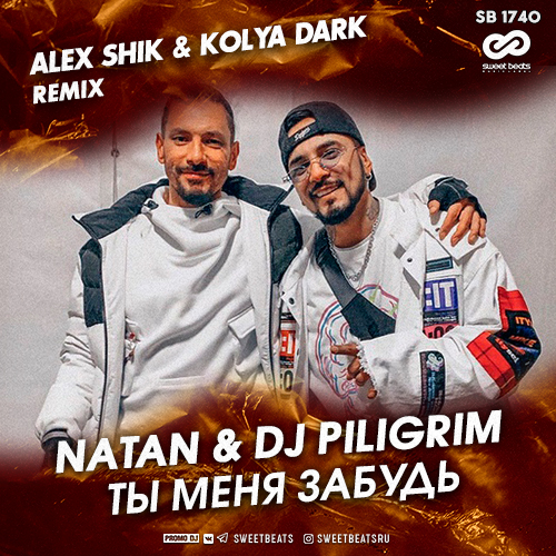Музыка Natan & DJ Piligrim - Ты Меня Забудь (Alex Shik & Kolya Dark Remix)