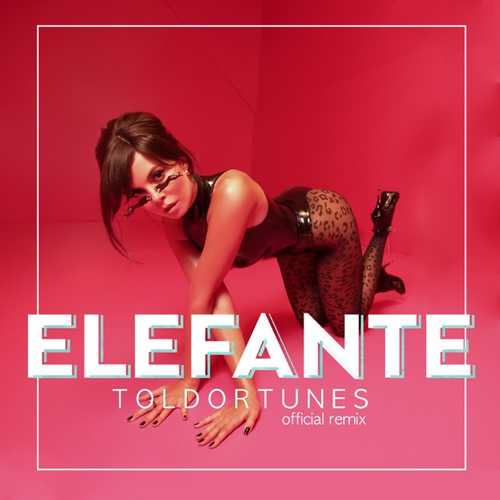 Музыка NK - Elefante (ToldorTunes Remix)