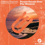Музыка Tommy Baynen - Purple Sunset Over The Meadow (Bee Hunter Remix)