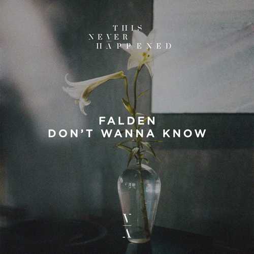 Музыка Falden - Don't Wanna Know (Original Mix)