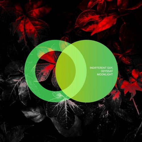 Музыка Indifferent Guy & Odyssay - Moonlight (Original Mix)