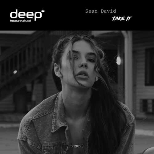 Музыка Sean David - Take It (Original Mix)