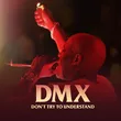 Музыка DMX - Party Up (Up In Here)