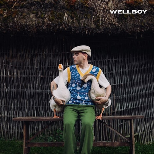Музыка Wellboy - Гуси (Bozz Nakoz Remix)