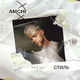 Музыка Amchi - Стиль