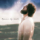 Музыка Shami - Забери