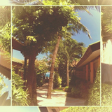 Музыка Jay-Lounge - Coastline