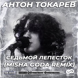Музыка Антон Токарев - Седьмой Лепесток (Misha Goda Remix)