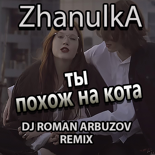 Музыка Zhanulka - Ты Похож На Кота (Dj Roman Arbuzov Remix)
