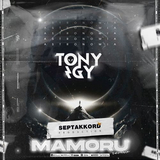 Музыка Tony Igy - Astronomia (Mamoru Remix)