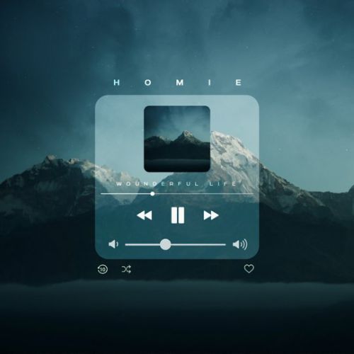 Музыка Homie - Wonderful Life