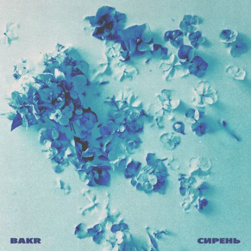 Музыка Bakr - Сирень