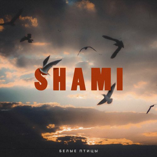 Музыка Shami - Белые Птицы