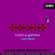 Музыка Chico & Qatoshi - Ластівки (DJ Darling & Butesha Remix)