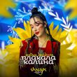 Музыка Polina Dashkova - Плакала Калина (Shnaps Remix)