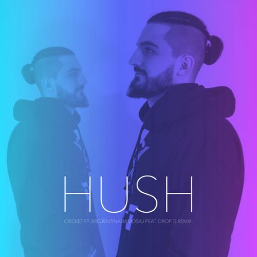 Музыка Cricket & Argjentina Ramosaj - Hush (Drop-G Remix)