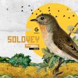 Музыка Go_A - Соловей (Closefly Remix)
