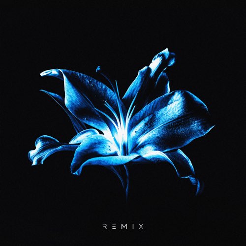Музыка Рум & Рам - Лилии (Glazur & Xm Remix)