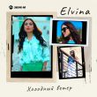 Музыка Elvina - Холодный Ветер