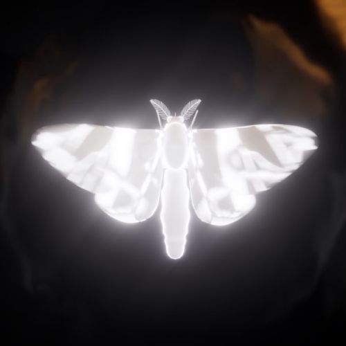 Музыка Carapacee - Мотыльки (feat. Shena?)