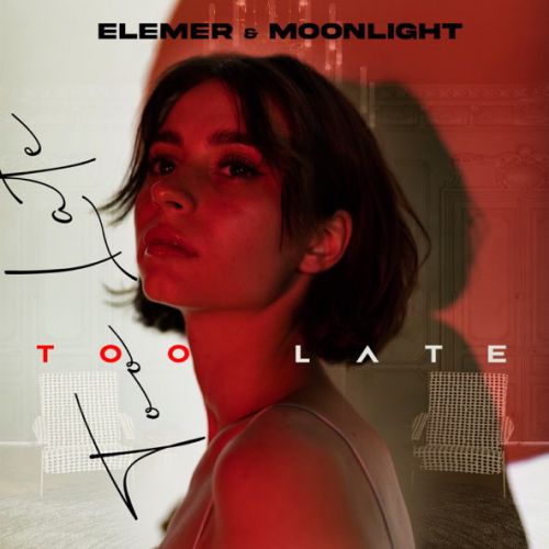 Музыка Elemer - Too Late (feat. MoonLight)