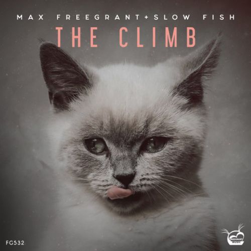 Музыка Max Freegrant - The Climb (feat. Slow Fish)