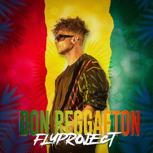 Музыка Fly Project - Don Reggaeton