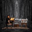 Музыка Baryk - Не Хочу Розлуки