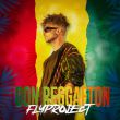 Музыка Fly Project - Don Reggaeton