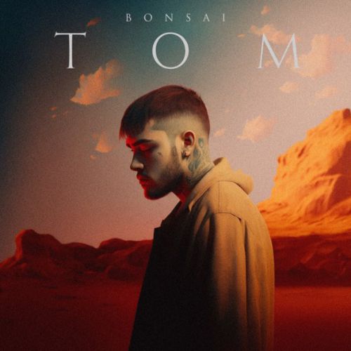 Музыка Bonsai - Том