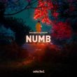 Музыка Goodboys - Numb (feat. Avaion)