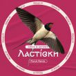 Музыка Chico & Qatoshi - Ластівки (Fizruk Remix)
