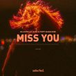 Музыка Nu Aspect - Miss You (feat. Jamis & Poppy Baskcomb)