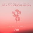 Музыка Natalie Gioia & Shkoda - Ой, У Лузі Червона Калина (Get Better Remix)