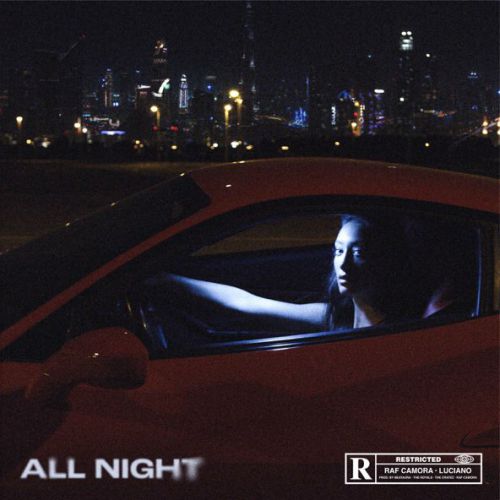 Музыка Raf Camora - All Night (feat. Luciano)