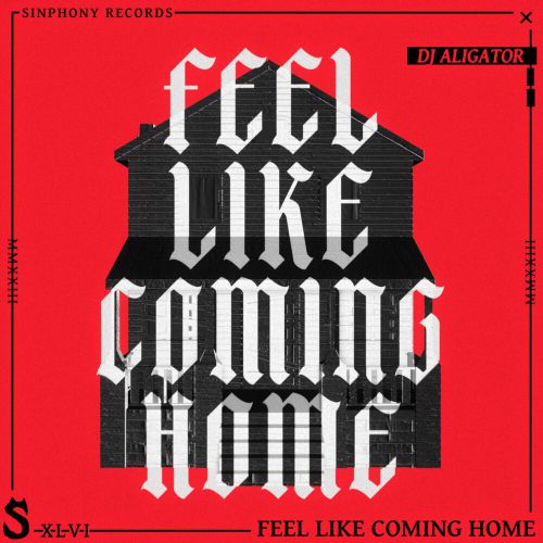 Музыка DJ Aligator - Feel Like Coming Home