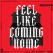 Музыка DJ Aligator - Feel Like Coming Home