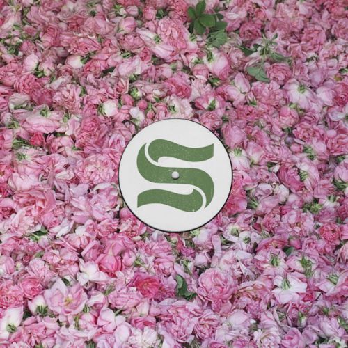 Музыка Braxe + Falcon & Sunni Colón - Elevation (Paul Woolford Remix)