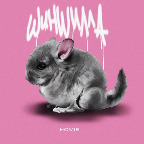 Музыка Homie - Шиншилла