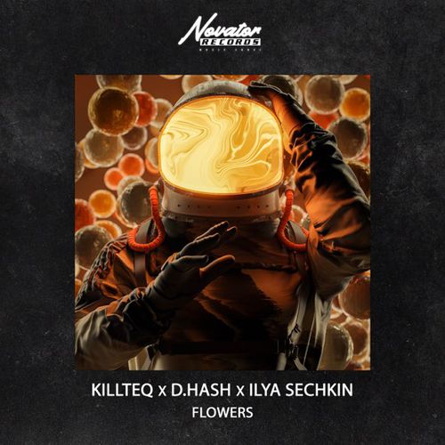 Музыка Killteq - Flowers (feat. D.Hash & Ilya Sechkin)