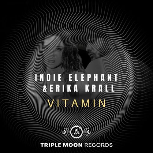 Музыка Erika Krall & Indie Elephant - Vitamin (Extended Mix)
