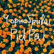 Музыка Pidpal - Чорнобривці