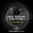 Музыка Erika Krall & Indie Elephant - Vitamin (Extended Mix)