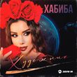 Музыка Хабиба - Художник