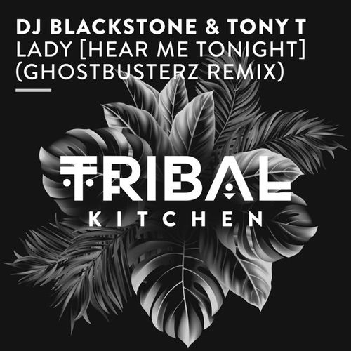 Музыка DJ Blackstone & Tony T - Lady (Hear Me Tonight) (Ghostbusterz Remix)