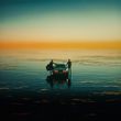 Музыка Drove - Take Me Somewhere
