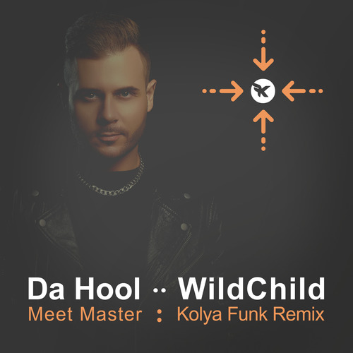 Музыка Da Hool & WildChild - Meet Master (Kolya Funk Remix)