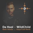 Музыка Da Hool & WildChild - Meet Master (Kolya Funk Remix)