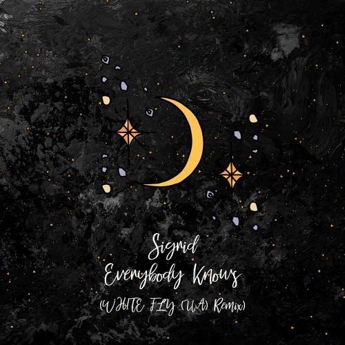 Музыка Сигрид - Everybody Knows (White Fly (UA) Remix)