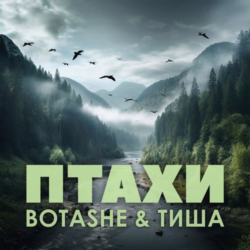 Музыка Botashe - Птахи (feat. Тиша)